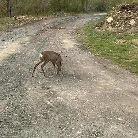 Prázdninový dům La Casa Sulla Collina Varsi