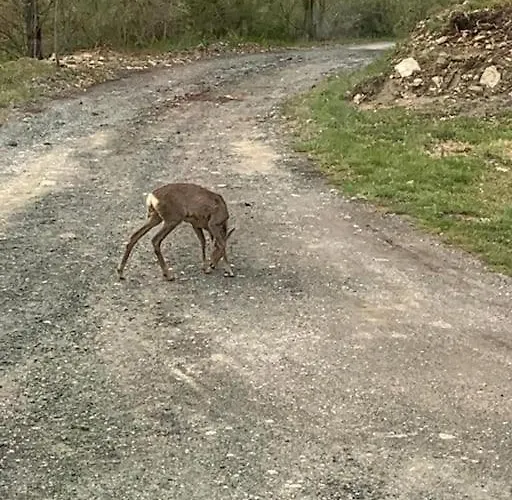 Semesterbostad La Casa Sulla Collina Varsi